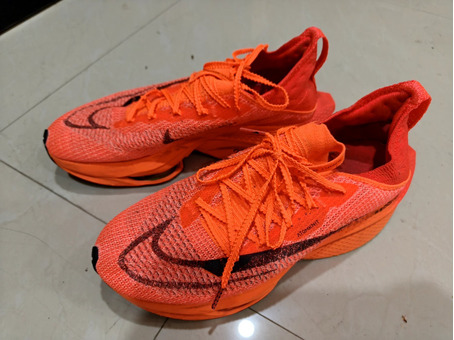 Nike Shoes 9.5 us - Free